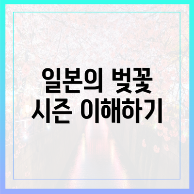일본의 벚꽃 시즌 이해하기