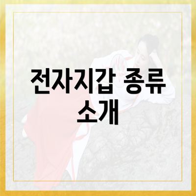 전자지갑 종류 소개