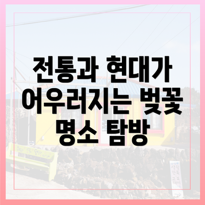 전통과 현대가 어우러지는 벚꽃 명소 탐방