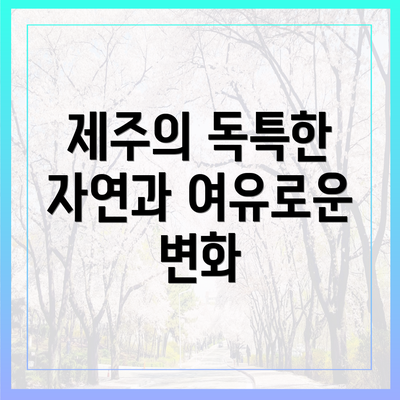 제주의 독특한 자연과 여유로운 변화