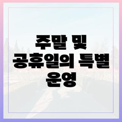 주말 및 공휴일의 특별 운영
