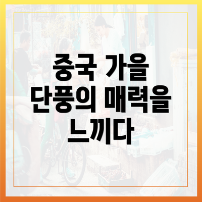 중국 가을 단풍의 매력을 느끼다
