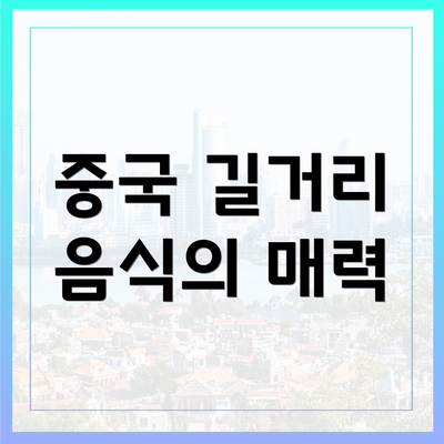 중국 길거리 음식의 매력