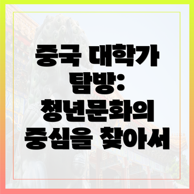 중국 대학가 탐방: 청년문화의 중심을 찾아서