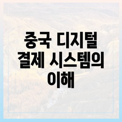 중국 디지털 결제 시스템의 이해