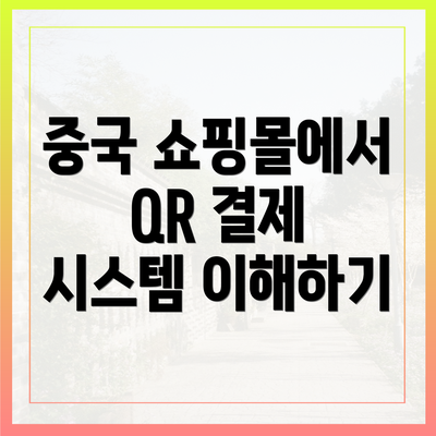중국 쇼핑몰에서 QR 결제 시스템 이해하기