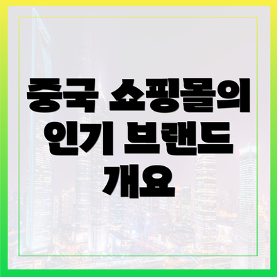 중국 쇼핑몰의 인기 브랜드 개요