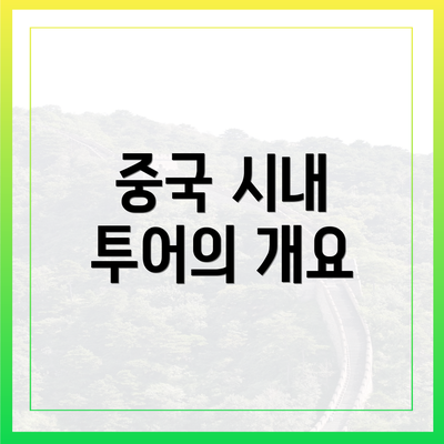 중국 시내 투어의 개요