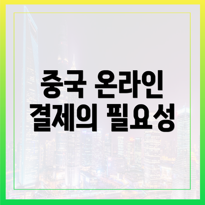 중국 온라인 결제의 필요성