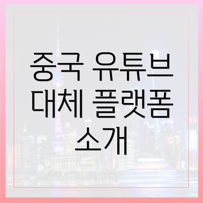 중국 유튜브 대체 플랫폼 소개