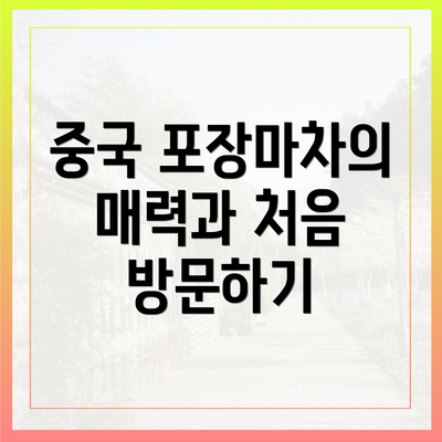 중국 포장마차의 매력과 처음 방문하기