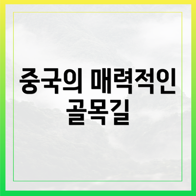 중국의 매력적인 골목길