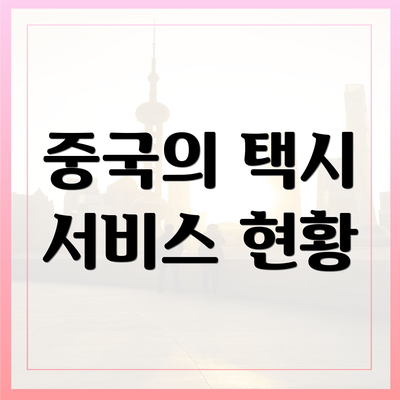 중국의 택시 서비스 현황