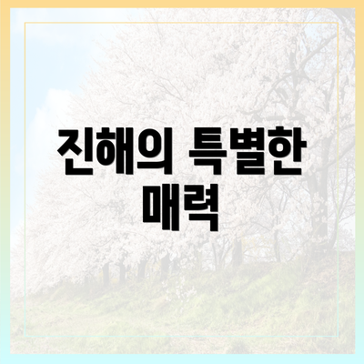 진해의 특별한 매력