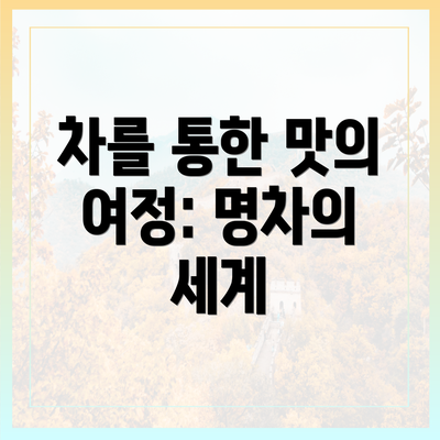 차를 통한 맛의 여정: 명차의 세계