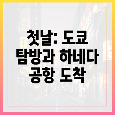 첫날: 도쿄 탐방과 하네다 공항 도착