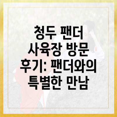 청두 팬더 사육장 방문 후기: 팬더와의 특별한 만남