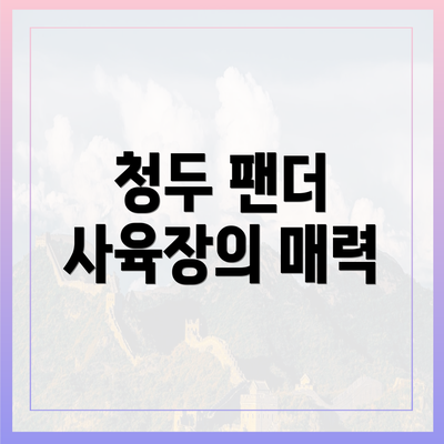 청두 팬더 사육장의 매력