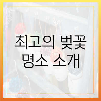 최고의 벚꽃 명소 소개