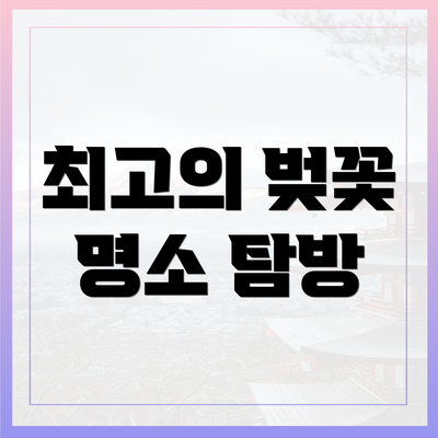 최고의 벚꽃 명소 탐방