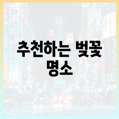 추천하는 벚꽃 명소