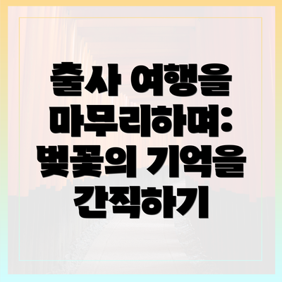 출사 여행을 마무리하며: 벚꽃의 기억을 간직하기