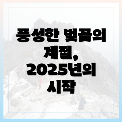 풍성한 벚꽃의 계절, 2025년의 시작
