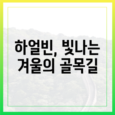 하얼빈, 빛나는 겨울의 골목길