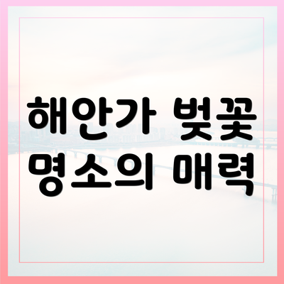 해안가 벚꽃 명소의 매력