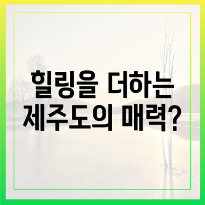 힐링을 더하는 제주도의 매력?