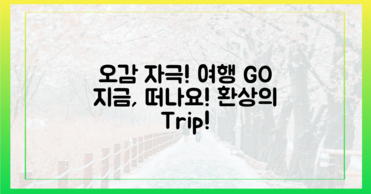 오감 만족 여행, 지금 떠나세요!