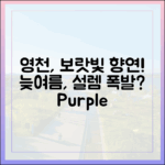 경북 영천, 늦여름 보랏빛 융단에 설렐 ?