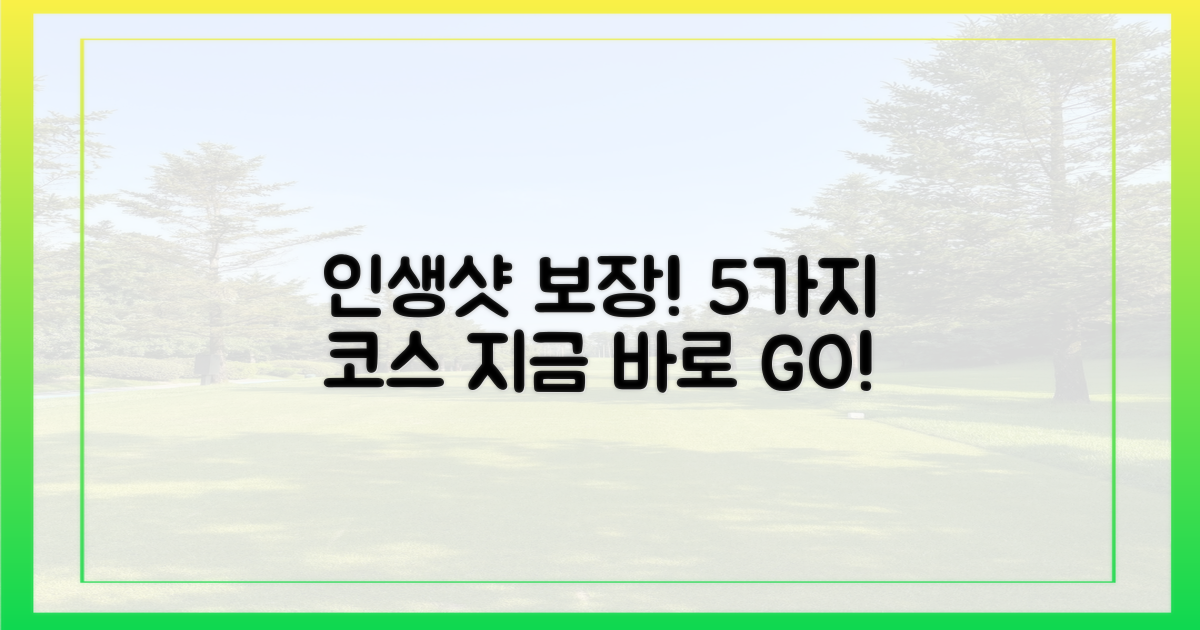 5가지 인생샷 보장 코스