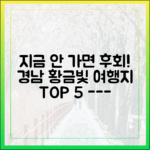 부산 중심에서 만나는 경남 황금빛 여행지 5선