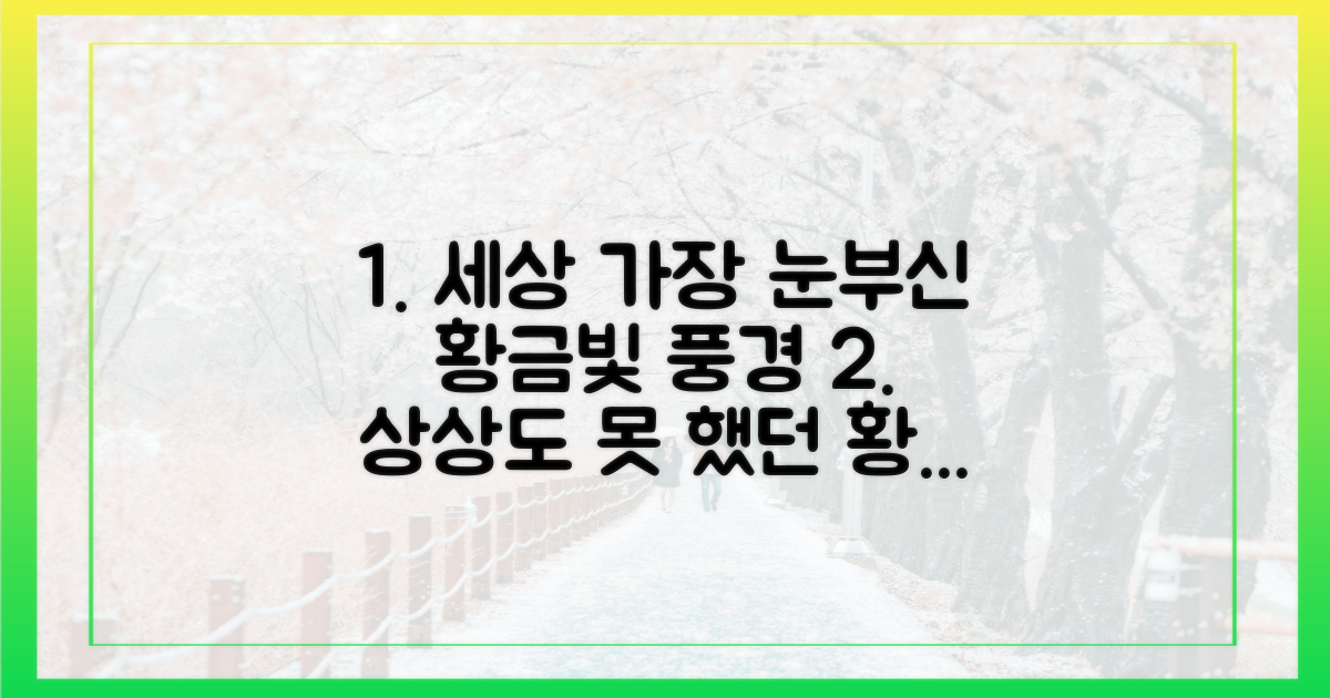 어떤 황금빛 풍경이 기다릴까?