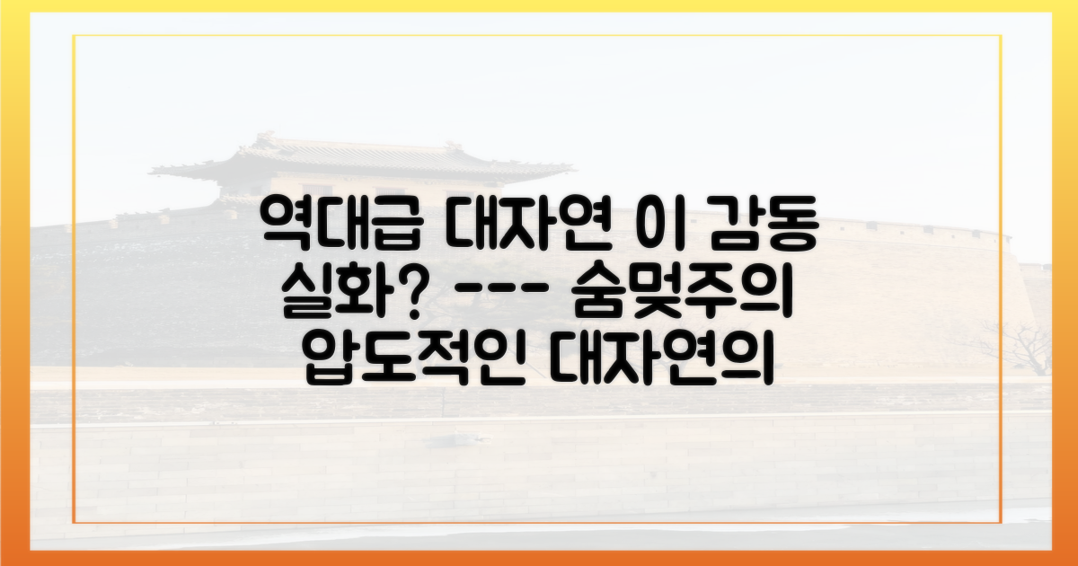 대자연의 감동, 함께 느껴보세요