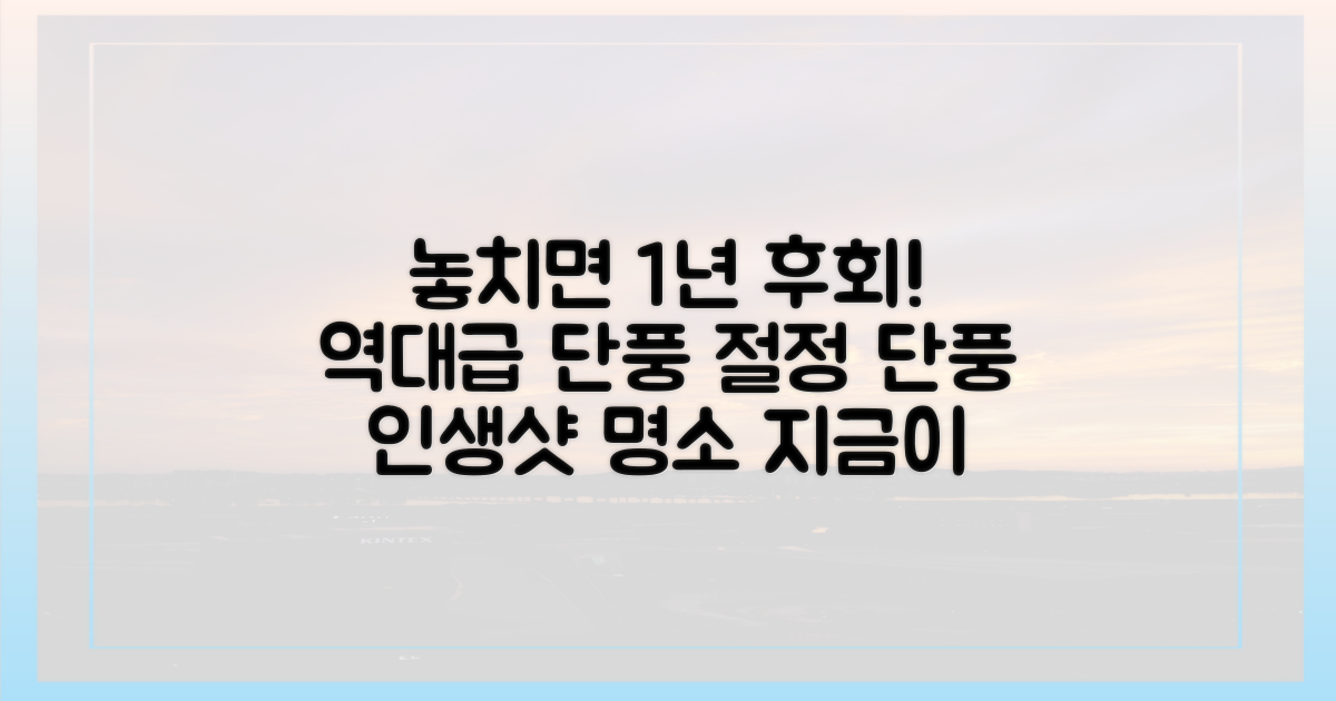 단풍 절정 시기를 놓치지 마세요.