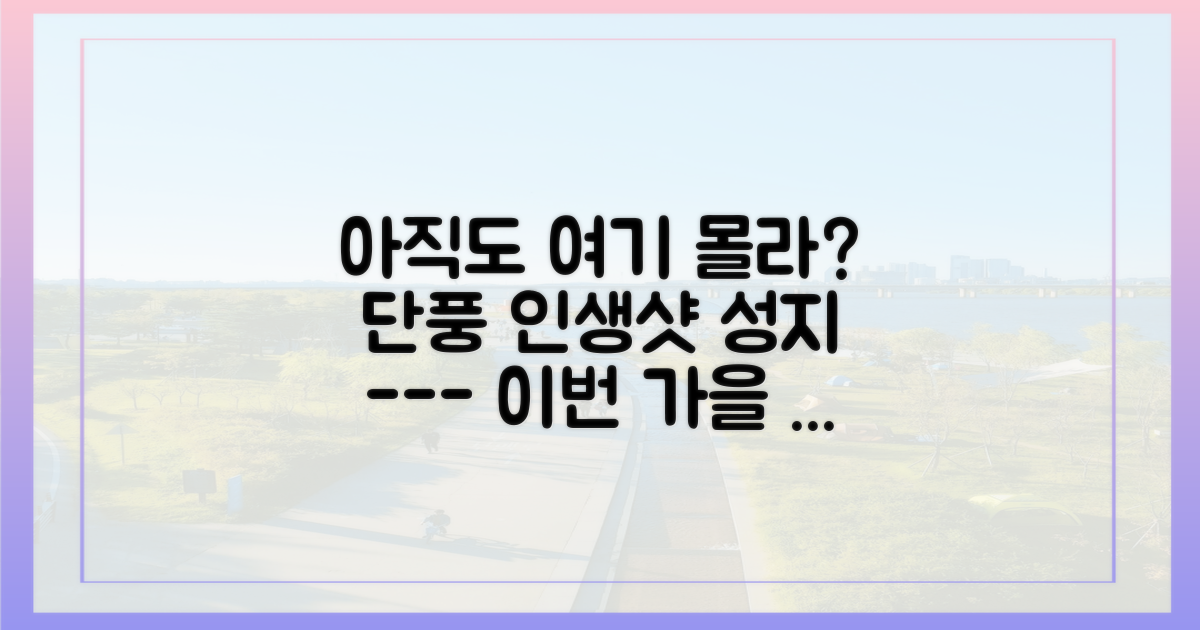 숨은 단풍 명소부터 찾아보세요.