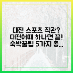대전어때'로 스포츠 관람부터 숙박까지, 꿀팁 5가지