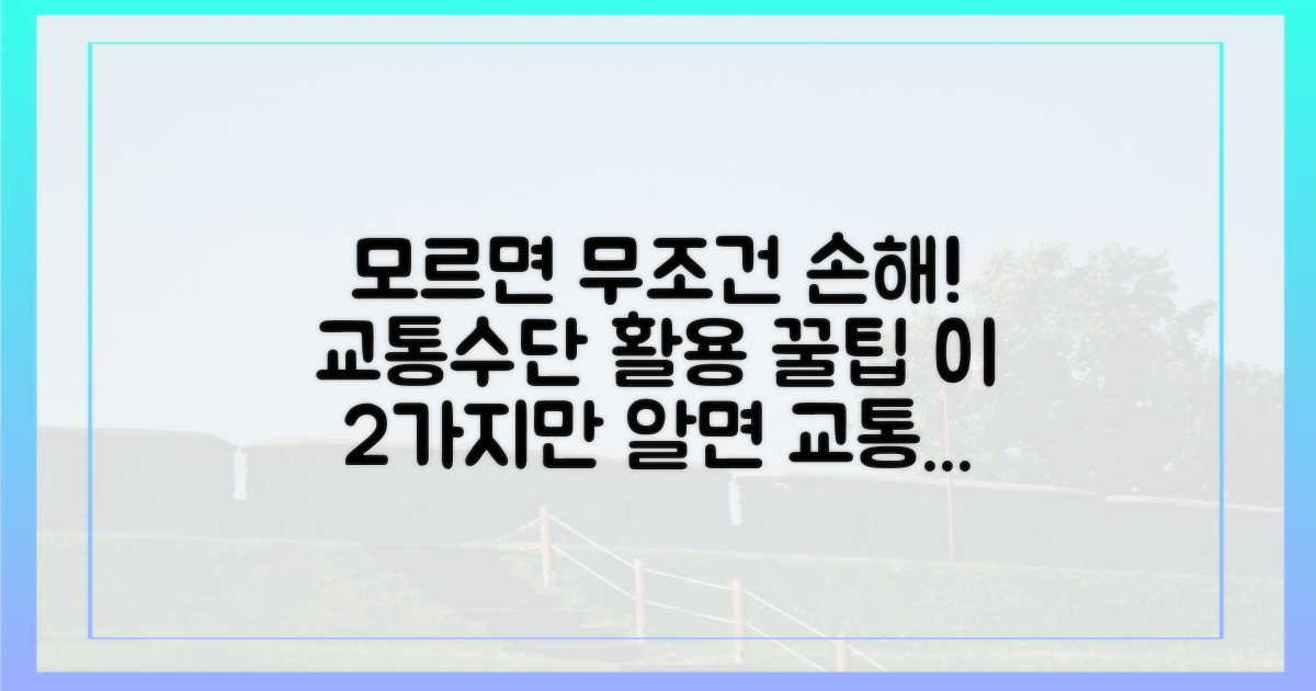 2가지 핵심 교통수단 활용법