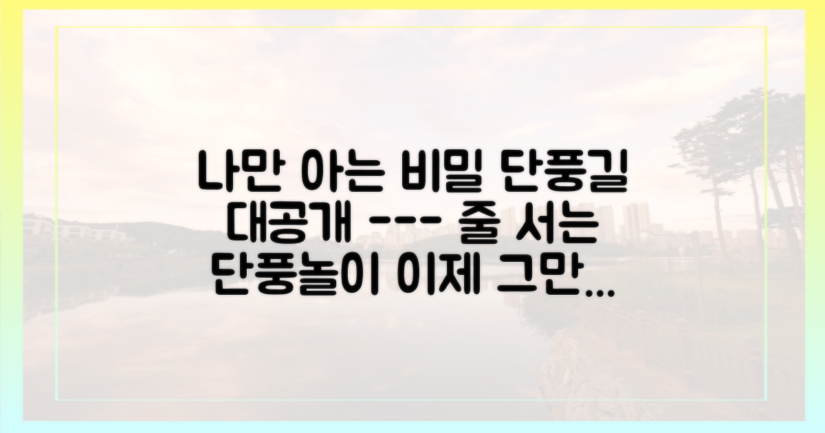 유명 단풍길 대신, 알려지지 않은 샛길