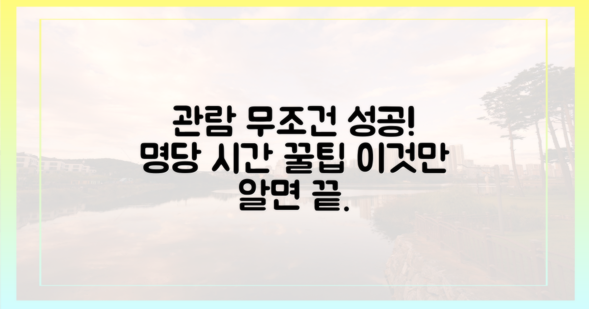 성공적인 관람을 위한 장소와 시간 꿀팁