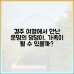 경주 댕댕여행, 우리 가족이 될 수 있을까요?