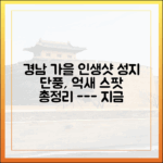단풍·꽃·억새, 경남의 가을색 여행 떠나볼까요?