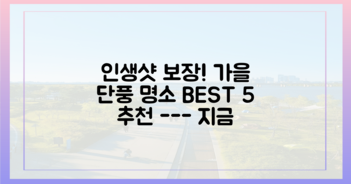 인생 사진 남길 단풍 명소는 어디?