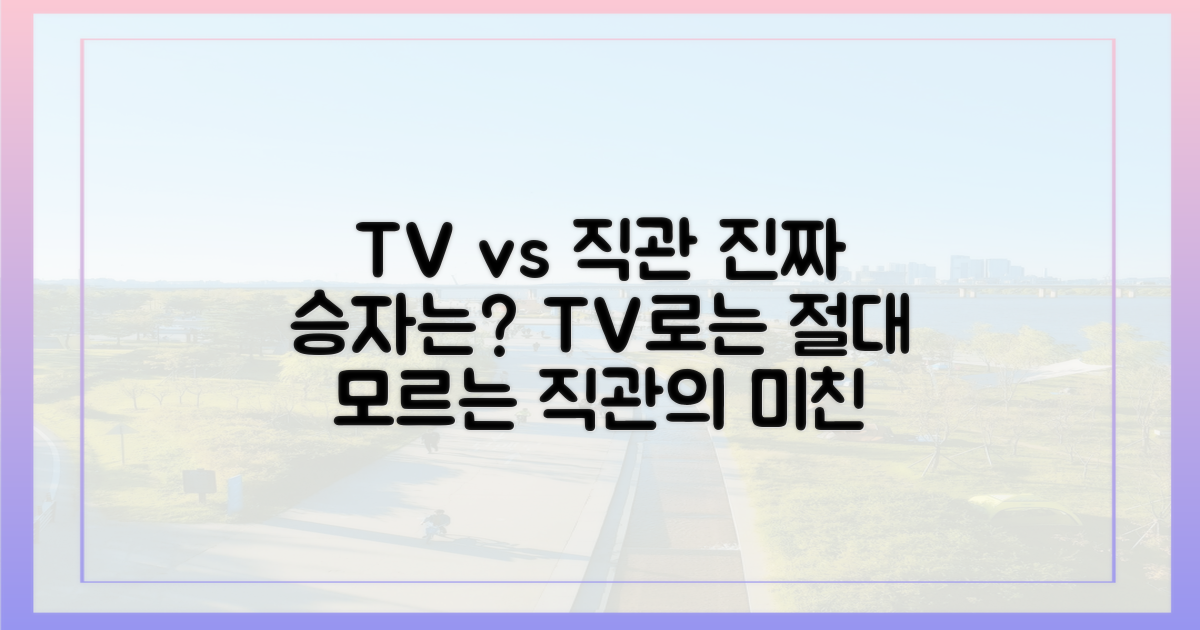 TV 중계 vs 경기장 직관의 생생한 차이