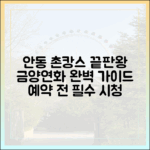 안동 금소마을 금양연화 촌캉스 완벽 가이드