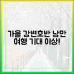 믿기지 않는 강변·호반 가을, 운동 아닌 '여행'의 낭만