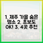 여기 진짜 처음! 제주 가을 숨은 명소 4곳, 초보도 쉽게