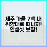 믿을 수 없는 제주 가을, 취향따라 떠나는 7색 여행!